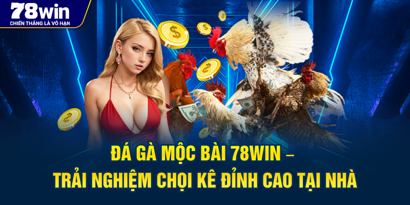 Đá Gà Mộc Bài 78Win – Trải Nghiệm Chọi Kê Đỉnh Cao Tại Nhà